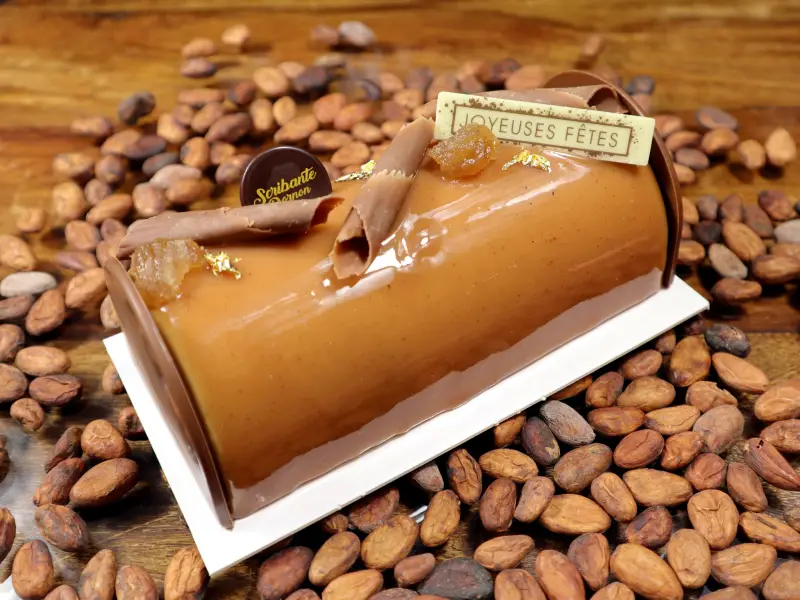 Bûche marron vanille Bourgoin-Jallieu