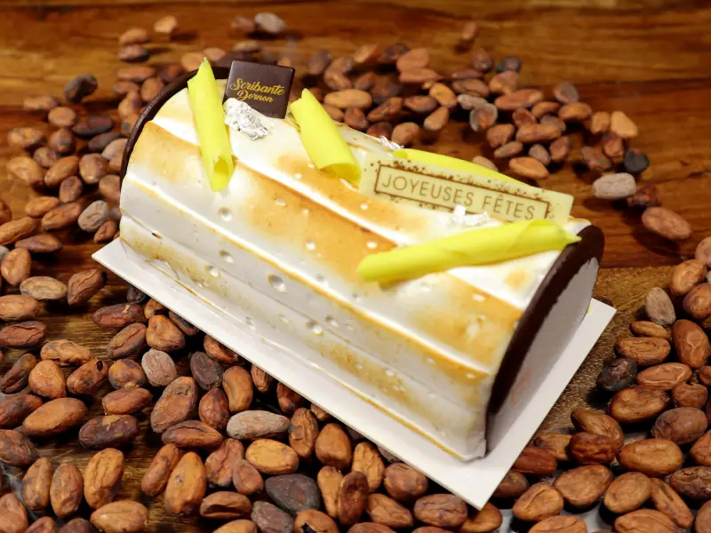 buche glacée citron fraise Bourgoin-Jallieu