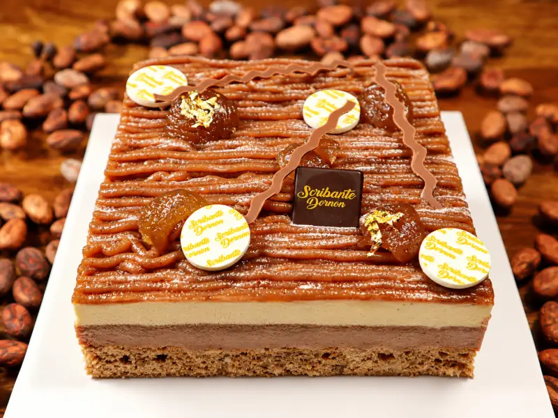 Gâteau marron, mousse vanille Bourgoin-Jallieu