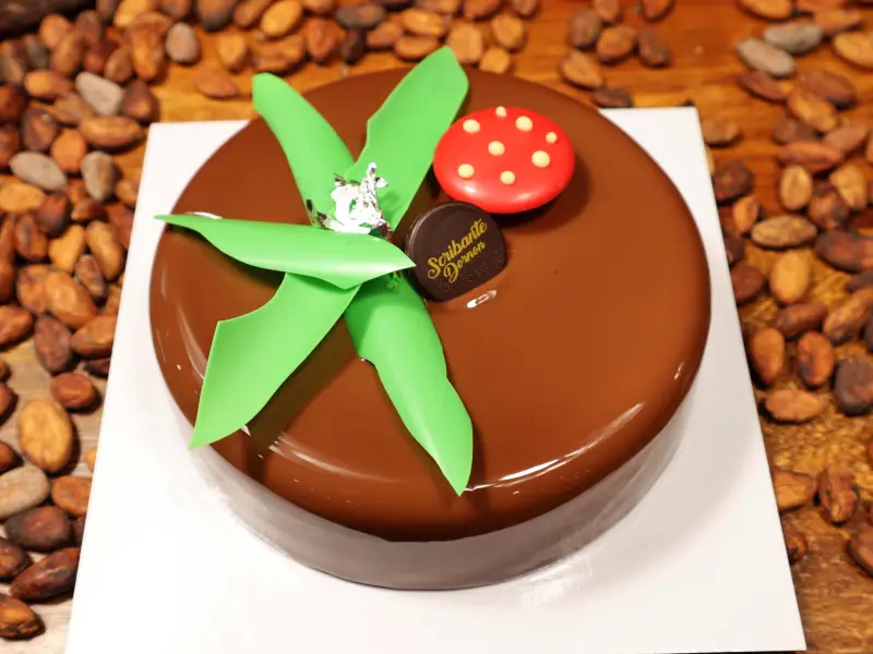 Patisserie griotte cerise pistache et mousse au chocolat