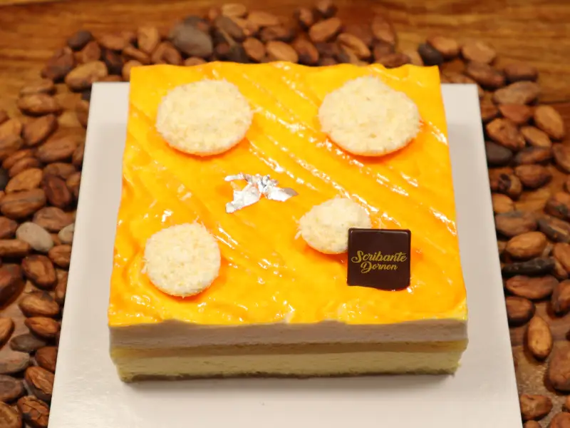 Patisserie bourgoin jallieu ananas noix-de-coco