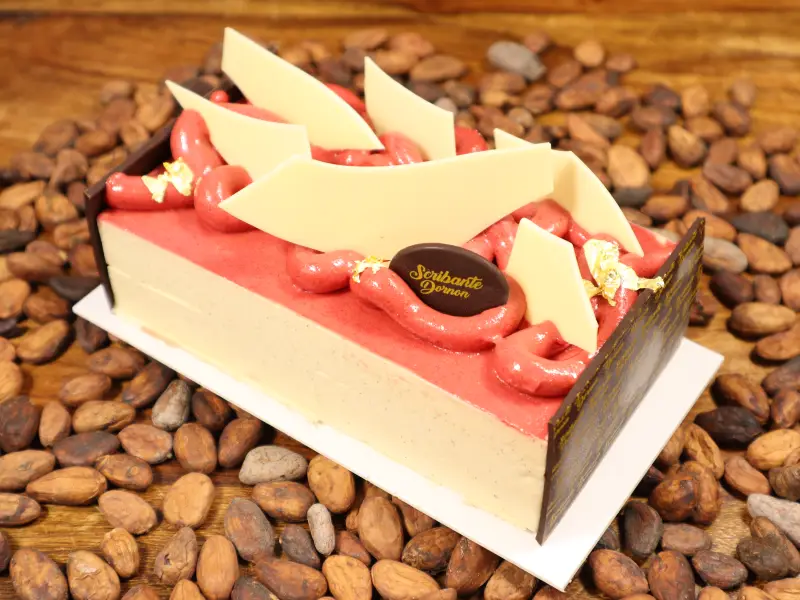 Pâtisserie glacée framboise Bourgoin-Jallieu