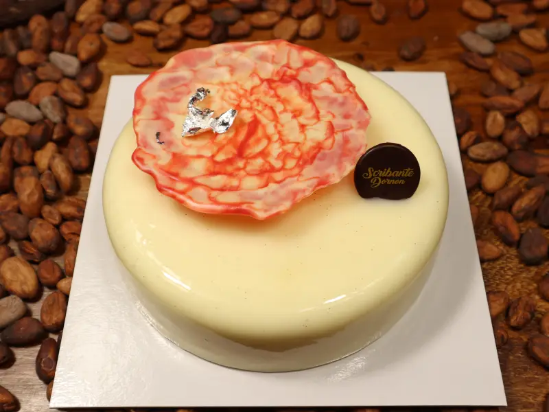 kalamansi gateau bourgoin patisserie chocolat citron agrumes