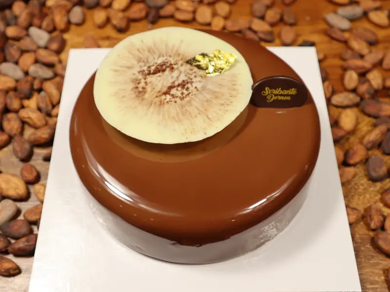 Gateau vanille chocolat Bourgoin-Jallieu