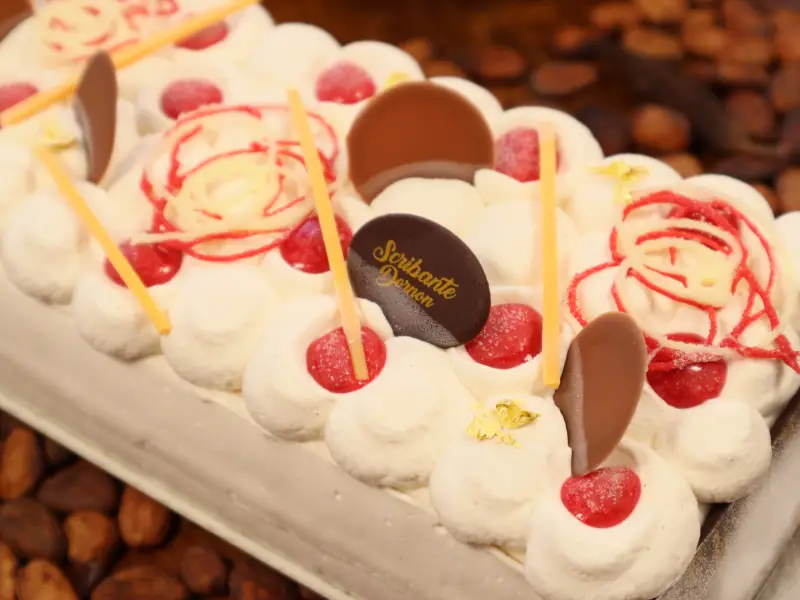 Vacherin glacé Bourgoin-Jallieu