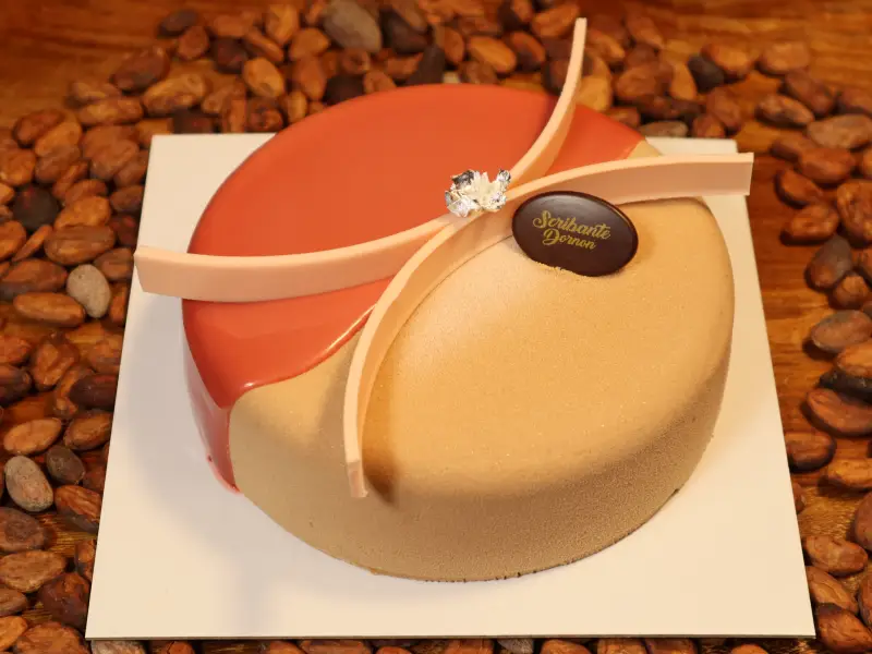 Pâtisserie pamplemousse chocolat Bourgoin-Jallieu