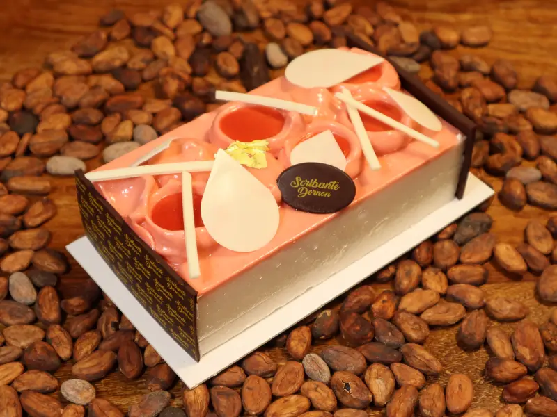 Pâtisseries entremets glaces fraise Bourgoin-Jallieu