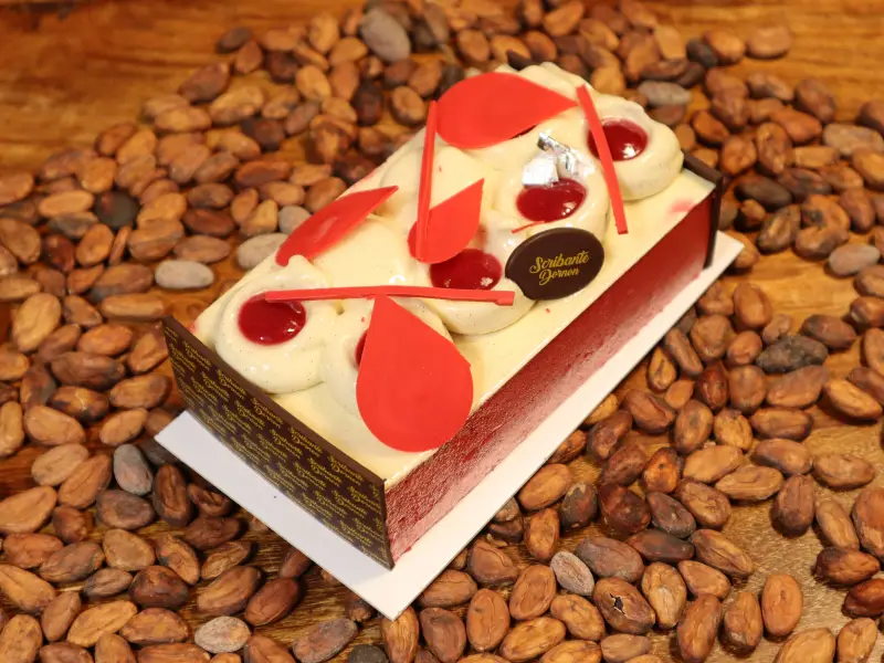 pattiserie-glacee-framboise-bourgoin