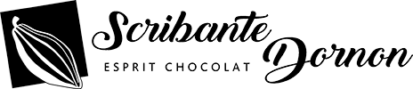 chocolaterie bourgoin boutique centre